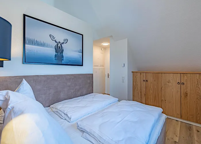 Deluxe Studio-apartment 